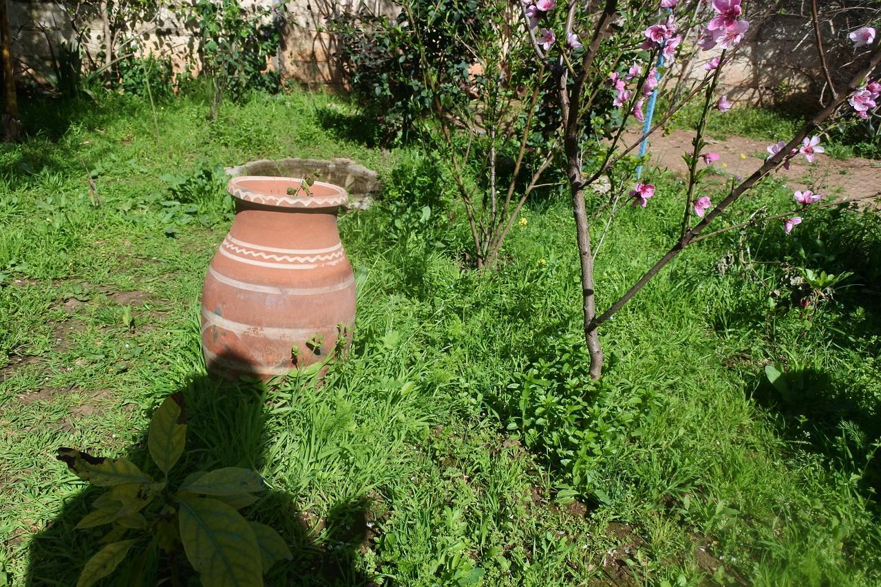 Le Jardin D'Habiba Apartment Rhorm el Alem Exterior photo